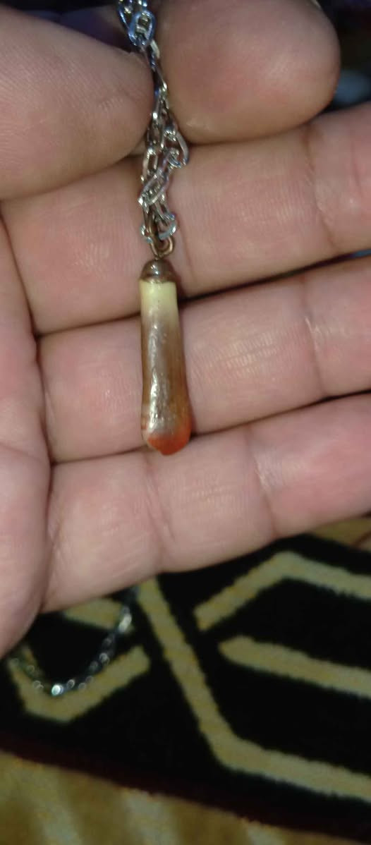 ‎قلادة عطف‎ كربلاء, العراق


**إذا كنت صاحب هذا الإعلان وتريد حذفه لأي سبب، رجاءا أرسل رسالة إلى الدعم الفني**