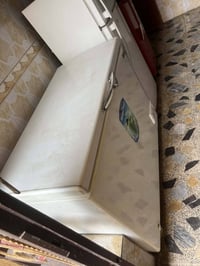 مجمدة • حجم كبير • كوفه يم مسلم