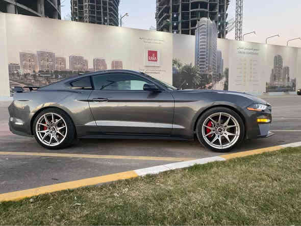 السلام عليكم ملاحضه الساره ترهم مرواس
للبيع فورد موستنك ايكو بوست بريميوم  فول مواصفات 
موديل 2023 رقم بغداد بأسمي تحويل مباشر 
ترايك من زاخو للفاو سياره برغي نقص مابيها وضع شركه 
ويل روش سعره ١٥ ورقه 
السياره ماشيه 26 الف
فول الفول 
رادار امامي
رادار جانبي
تحديد مسار
حساسات خلفيه
شاشة كبيره 
كشنات جلد
كشنات تدفئة تبريد
كشنات كهرباء 
داخل 7 الوان متغير +دشبول 7 الوان 
وباقي مواصفات البريموم المعروفه
الضرر 
جاملغ وبنيد قطعتين ايرباك ستيرن فقط 
مكينه وكير وحداديه بشرط 
مكان السياره بغداد 
السعر 195  
سياره ستيج ١ مزوده بيها شوته k&n وانتيك وعليها فول هوائيات بلكات ريسنك ولف ريسنك عطاس
للاستفسار *********** Colombo
