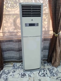 سبلت • طنين • شغال