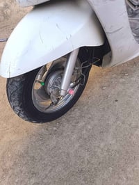 ماكس منغولي • ابيض • كفاله عامه