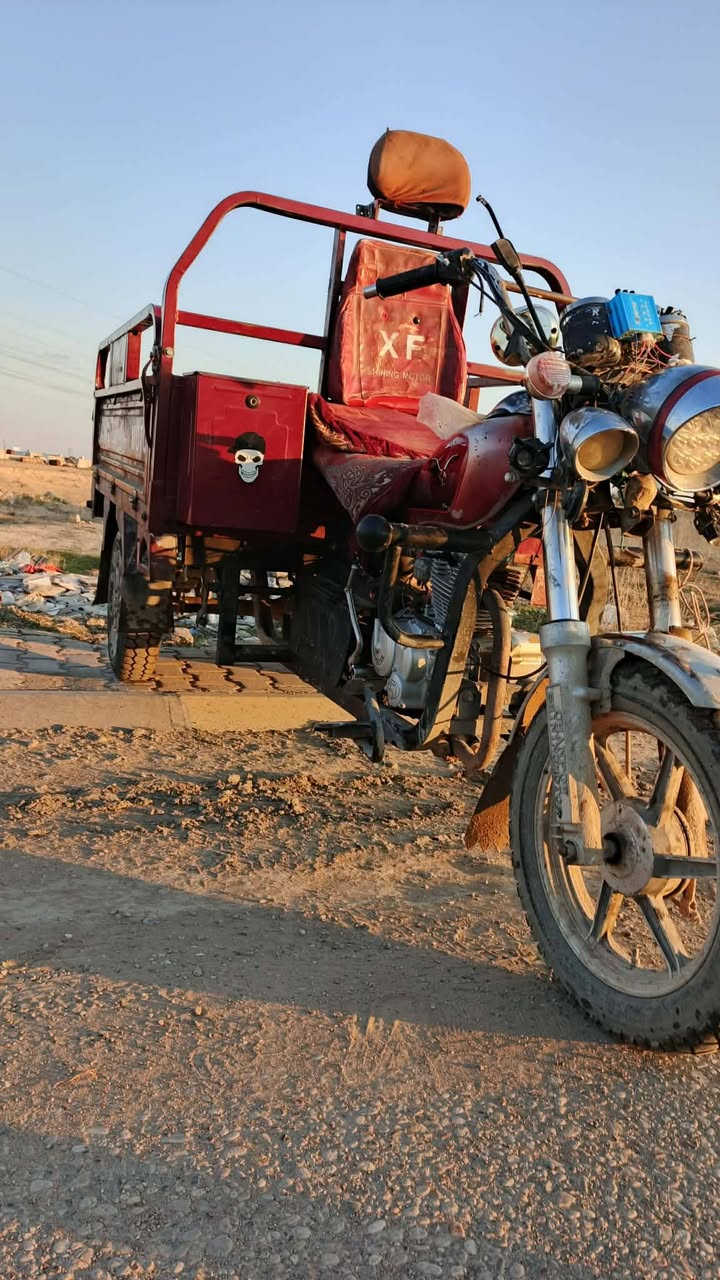 السلام عليكم ستوته فحل ناصي للبيع موديل جاهزهالشغل 20محرك 24مبدل بس بستم ركبه شرط كلاب شاصي اكسل شرط كلها شرط كهربايات كلها شغاله تجي تفحص ياله تاخذ الستوته مثل ما موضح بل صور الستوته بدون غسل السعر 950وبيها مجال مكان ييجي الرقم ***********
