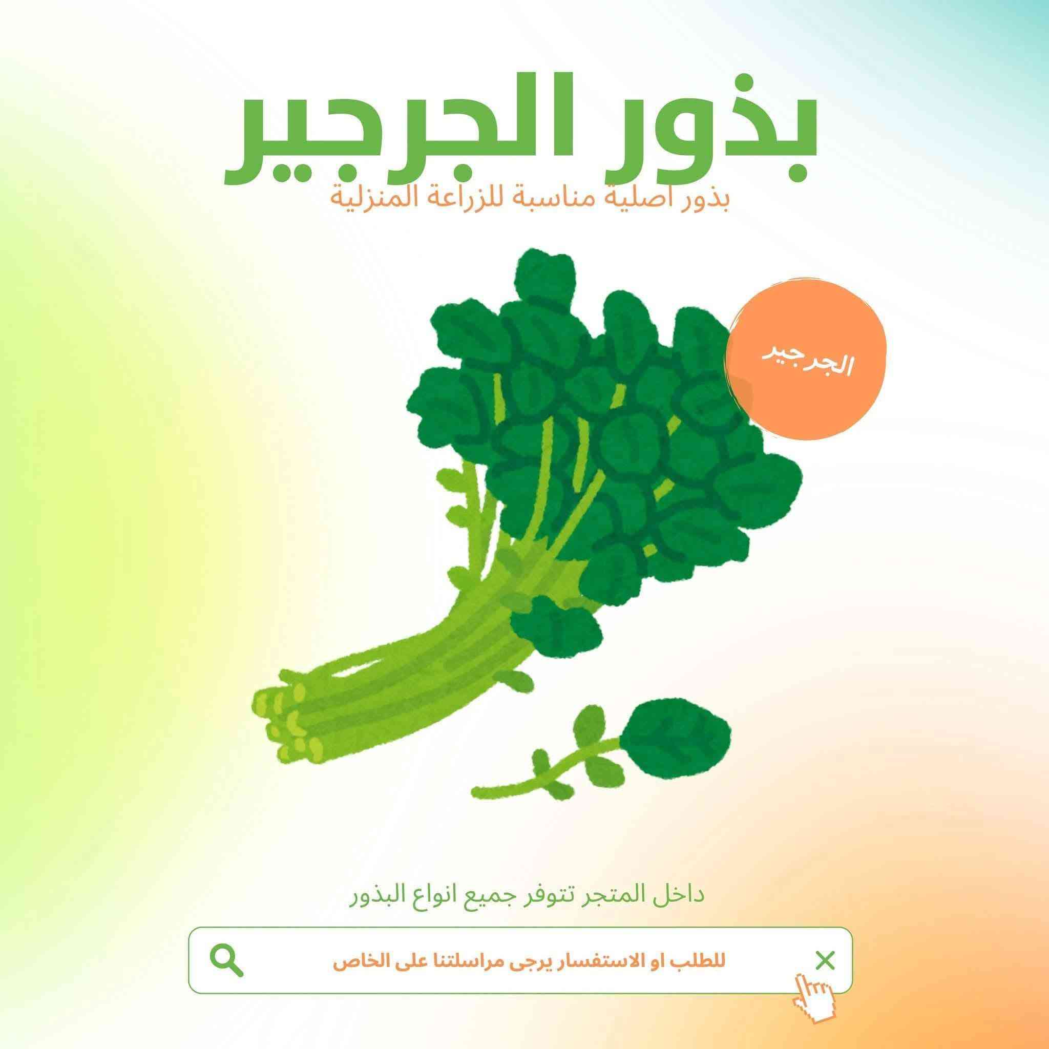 بذور ورقيات بسعر 3 آلاف


**إذا كنت صاحب هذا الإعلان وتريد حذفه لأي سبب، رجاءا أرسل رسالة إلى الدعم الفني**