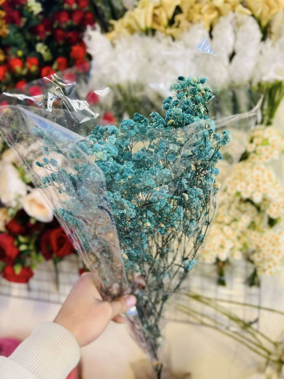 مساء الخير زبائن متجر اللؤلؤة 
توفر جميع الوان ورد🌷 الجبسوفيل المجفف ب اسعار تنافسية
 عنوانه : طويريج حي المثنى شارع الفوج 
للتواصل واتساب :***********
