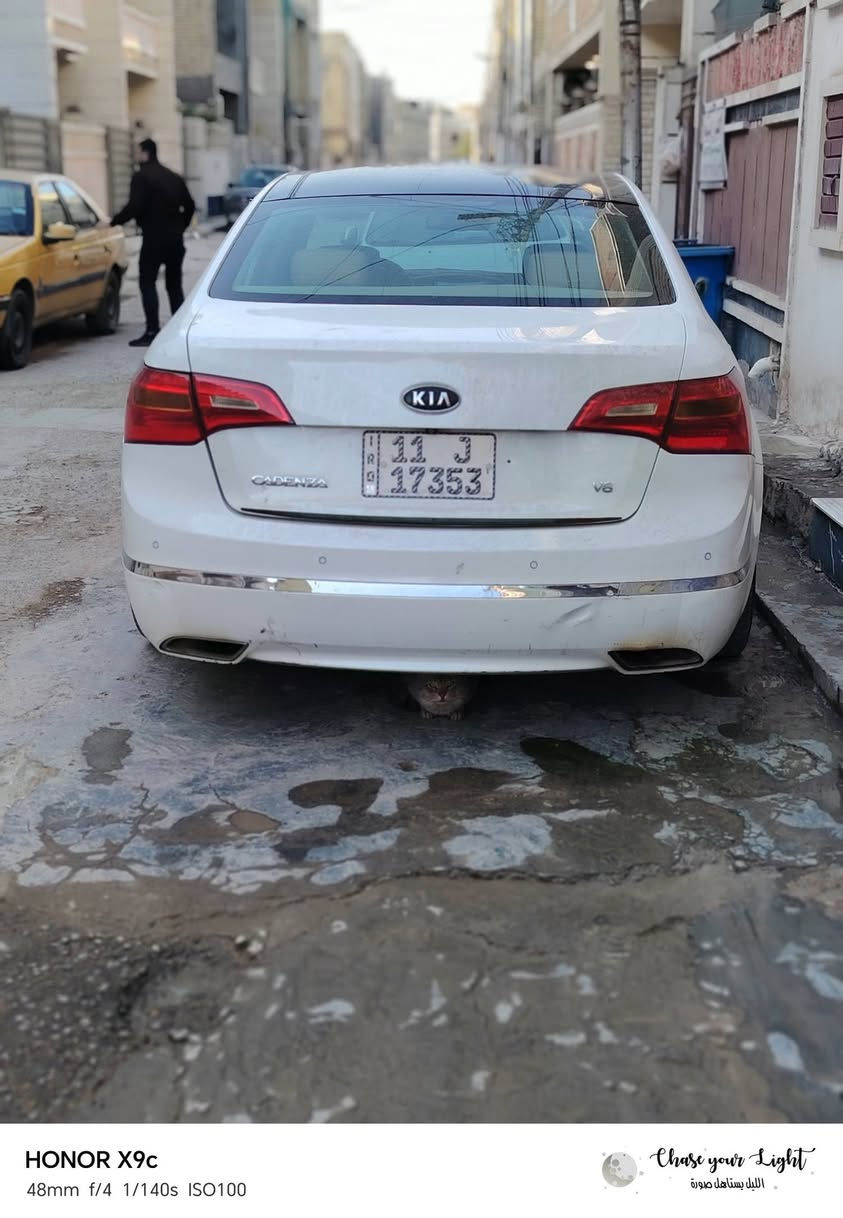 السلام عليكم
يا كادنزا للبيع موديل 2011 خليجي كير مكينه خير من الله سياره خليجيه بسمنه شاشه تاب برده خلفيه بنوراما سياره فول مواصفات خمس بصمات نضام ترحيب لايت زنون خمسه ويل كب صدر امامي خلفي جديد
السعر 117وبيها مجال
مكاني بغداد الدوره شارع 60
***********
