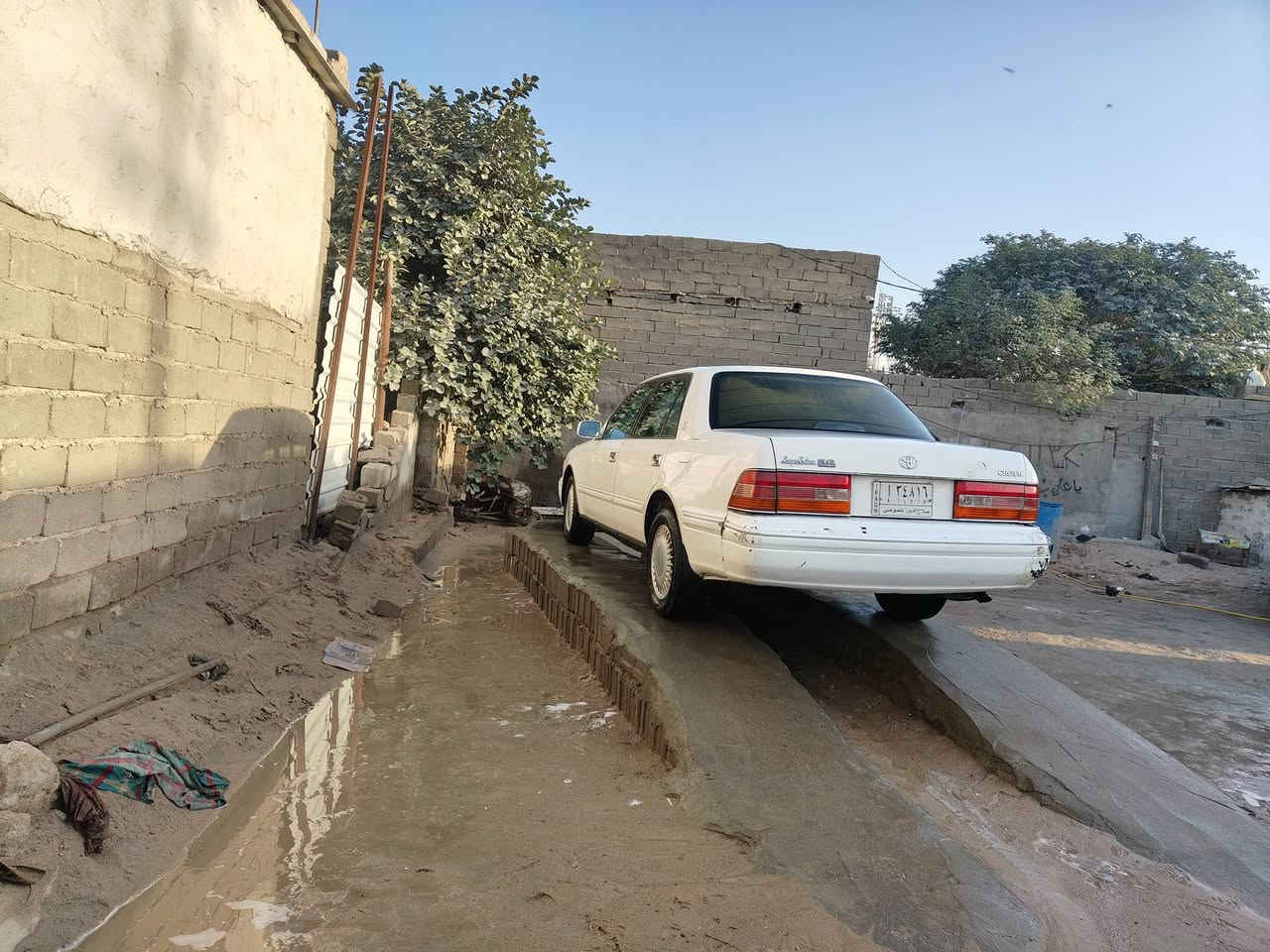 رأس ثور أيسر بلاد سعودي كير عادي مكفوله كصه نقل سعر 110 مجال كلش قليل عنوان بصره زبير رقم *********** ما متواجد على الفيس
