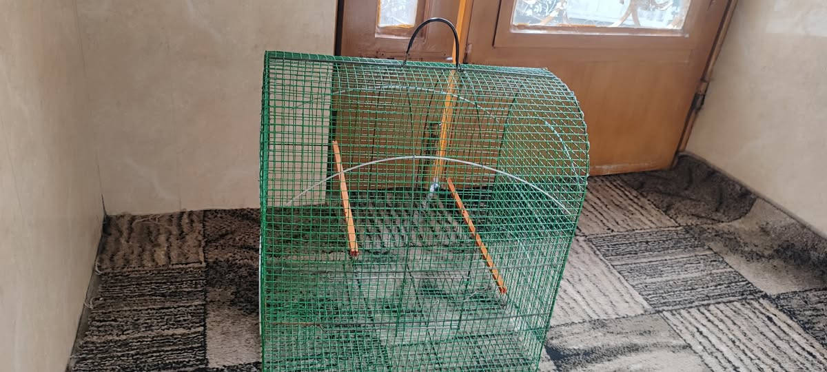 سلام علیکم بۆ فرۆشتن زۆر کەم بەکارهاتووە


**إذا كنت صاحب هذا الإعلان وتريد حذفه لأي سبب، رجاءا أرسل رسالة إلى الدعم الفني**