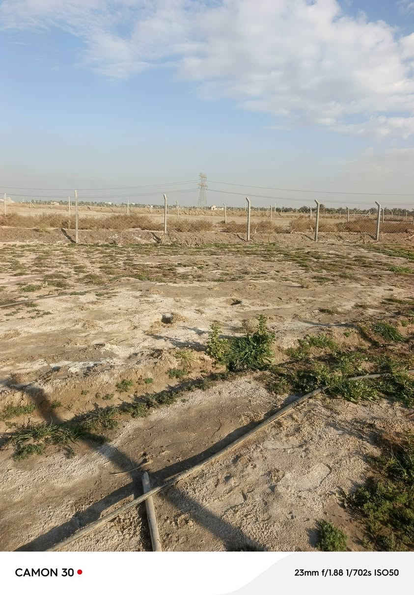 السلام عليكم ارض طابو زراعي سند/25/المساحه. نص دونم
الموقع خلف جامعه بابل / 
للاستفسار 
محمد رشيد ‏‪***********‬‏
منتظر الصليخي ***********
                        ***********
