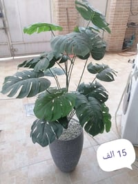 للبيع • ع الصور • ديكور