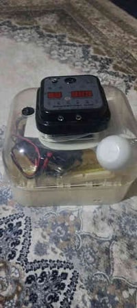 مفقس15هیڵکه یی کارتۆن و شتی هه موو ماوه ریک حساب که نوێ زۆرخاوینه سحری...