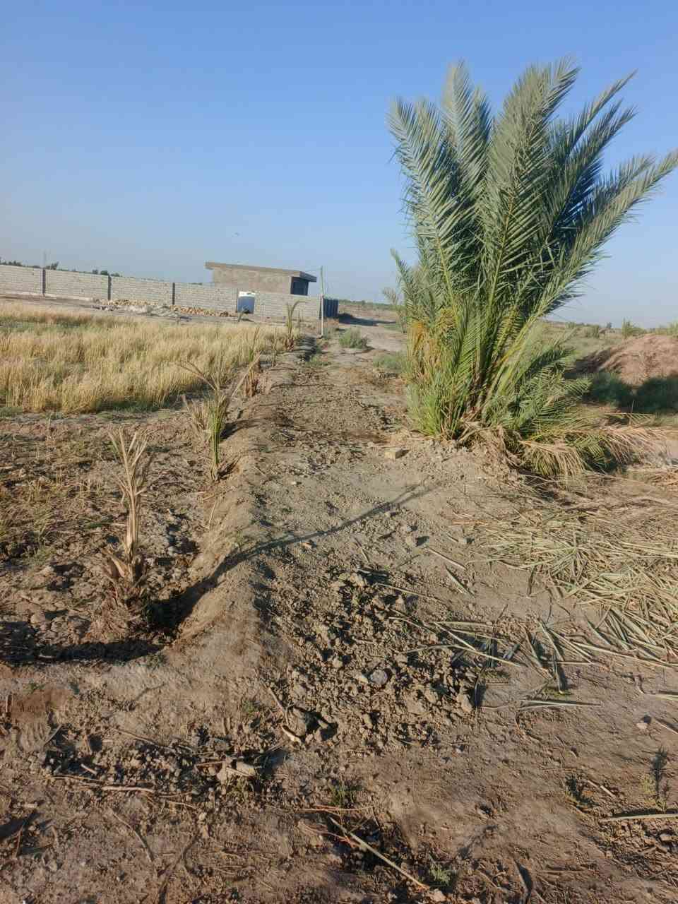 سلام عليكم  دونم للبيع على طريق لحلو مساحته دونم  لواجه 20 ونزال 125 مثل  سعره مناسب ماي كهربائي ماي سكي كلشي متوفر ***********
