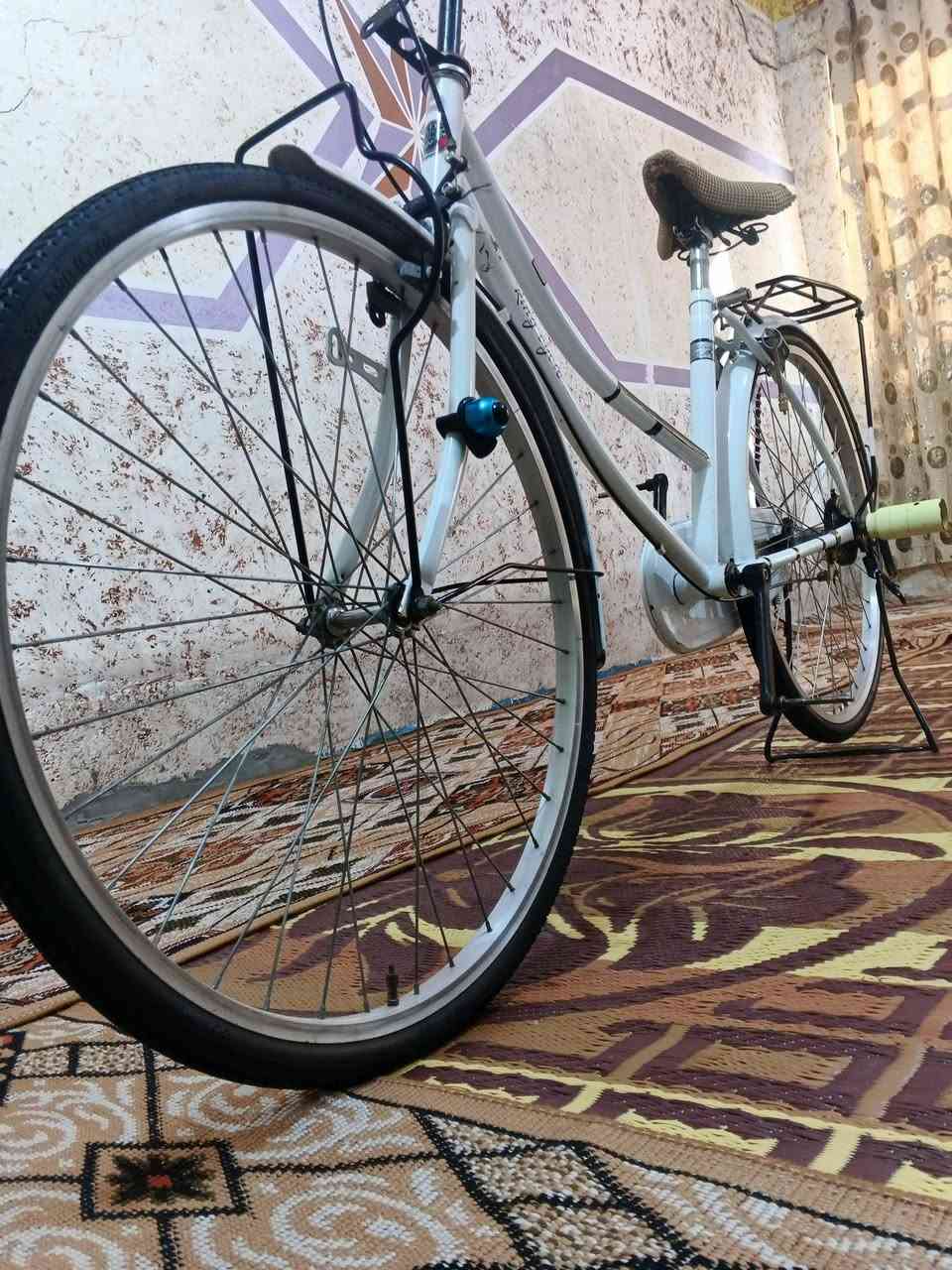 سلام عليكم ورحمة الله وبركاته باسكل البيع موديل 23مكفول سعر خاص
مكاني بغداد نهروان


**إذا كنت صاحب هذا الإعلان وتريد حذفه لأي سبب، رجاءا أرسل رسالة إلى الدعم الفني**