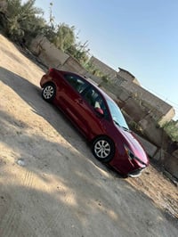 كورلا • ٢٠٢٣ • البصرة شط العرب