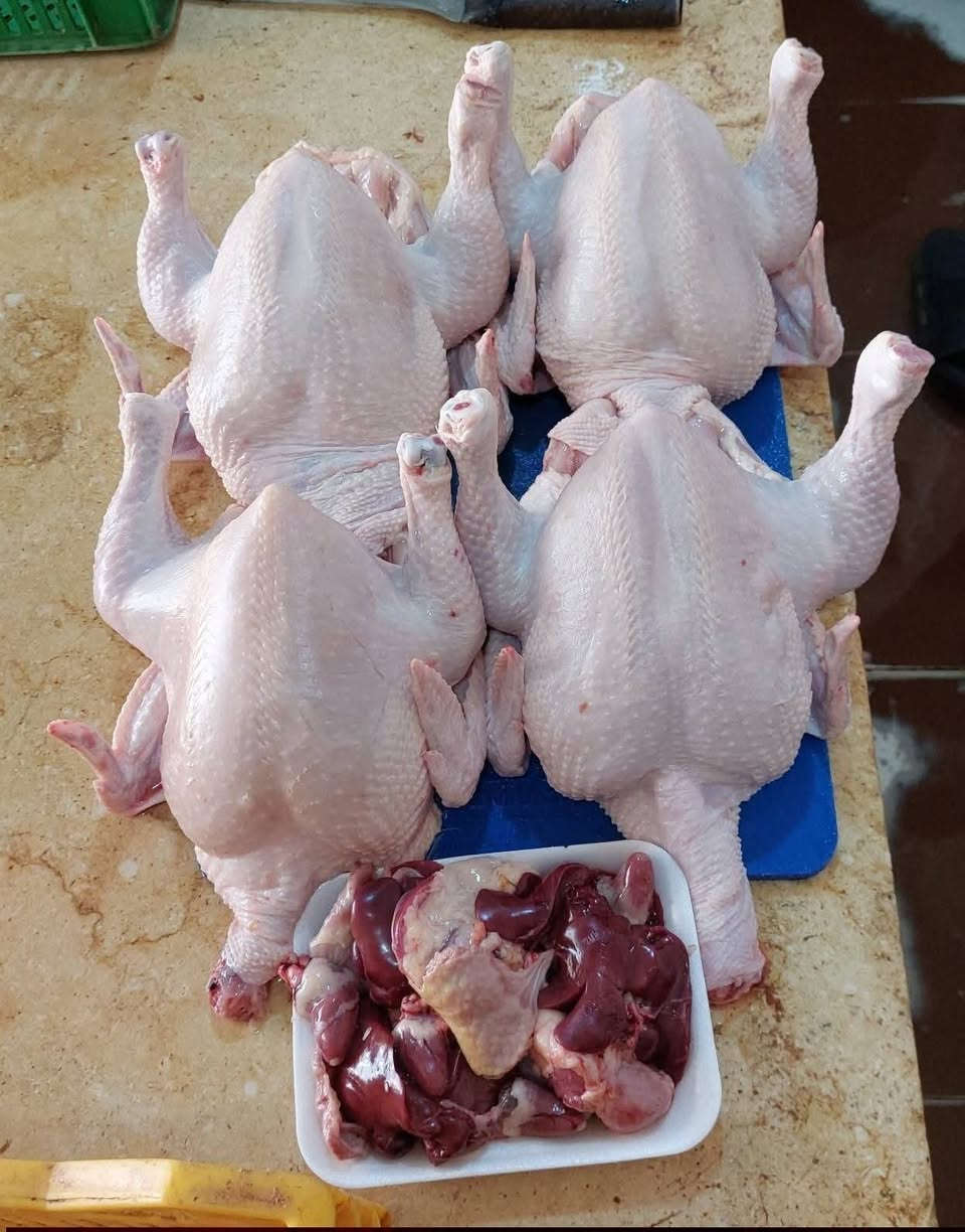 السلام عليكم متوفر دجاج حي 24 ساعه متوفر ب3500 مع التنضيف وزن من 2 كيلو الا 4 كيلو وتوصيل مجاني داخل عوينات 
*********** اخوكم وخادمكم ابو لارا مع تحياتي للجميع
