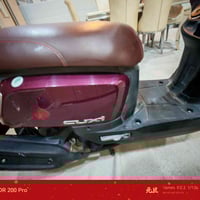 ماكس بوليسي • كفالة عام • حله نادر الثانيه