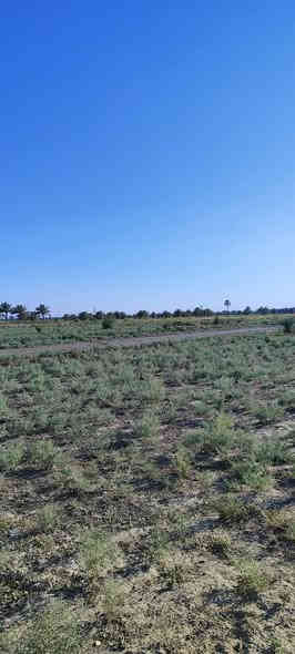 ارض للبيع طابو زراعي سند 25 المساحة 3 دونم الواجهة 72م النزال 125م في أبي غرق ، مقابل أراضي ٱلبو ثويني على بزل المالح مباشرةً صالحة للزراعة والسكن. سعر الدونم الواحد 48 مليون وبيه مجال للشراي.. للاستفسار الاتصال على الارقام التاليه:-
***********
***********  واتس ٱب
