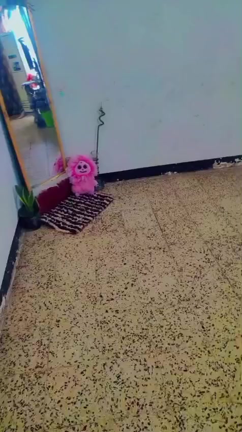 شقة للبيع مجمع القعقاع طابق ثالث عمارة ١٠٨ مقابيل حي البتول على الشارعين التبليط غرفتين واستقبال وصحيات ومطبخ حار وبارد وبلكونات ٢ مي ماسس من الابي مباشرة ماطورك وحدك مع تانكي ماء مع سخان عارضهة ب ٢٣ ونص  للاتصال *********** بي واتساب
