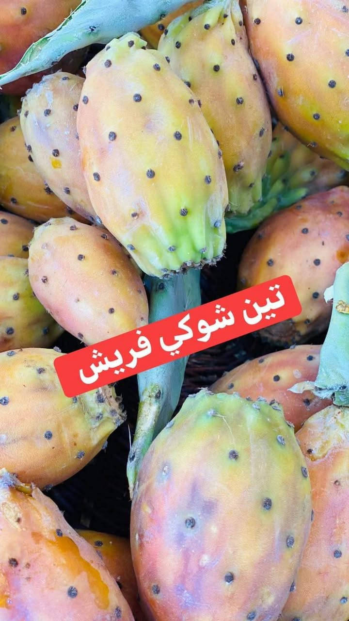 جديد اليوم نشاء الله
يم عباس فواكه


**إذا كنت صاحب هذا الإعلان وتريد حذفه لأي سبب، رجاءا أرسل رسالة إلى الدعم الفني**