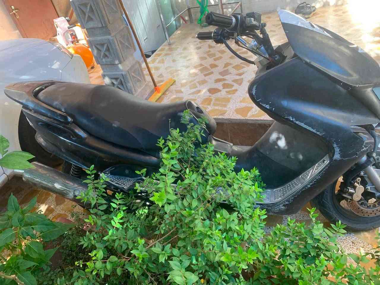 اعاده النشر بسسب الوعد الكاذبه ماجسته بومه محرك نار شرط بس ينرادلها وايرمنيه صالنصه رياضي يعني طرب ما متواجد بس على الواتساب *********** السعر 250 وبي مجال
