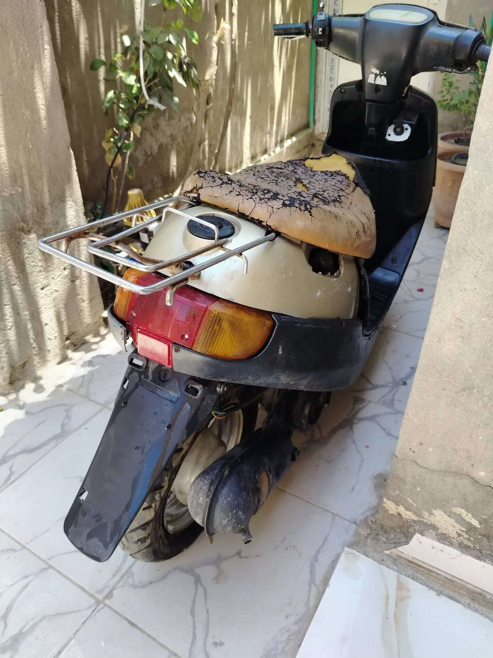 بتره للبيع 130وبيه مجال مو شراي لاتعبني


**إذا كنت صاحب هذا الإعلان وتريد حذفه لأي سبب، رجاءا أرسل رسالة إلى الدعم الفني**