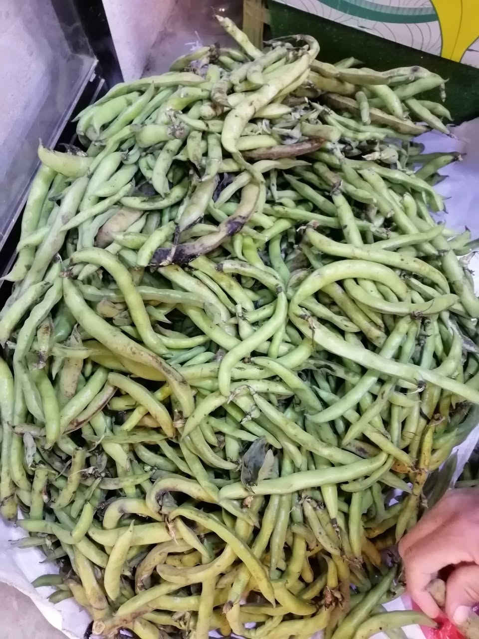 تشكيله جديده ماشاء الله تبارك الرحمن
العنوان هيت جمعيه الثانية قرب أسواق الملاح توجد خدمه توصيل *********** داخل هيت
