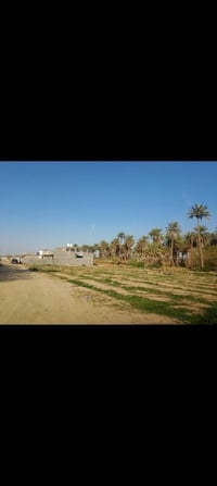 أرض زراعية • الجعارة المدائن • سند ٢٥