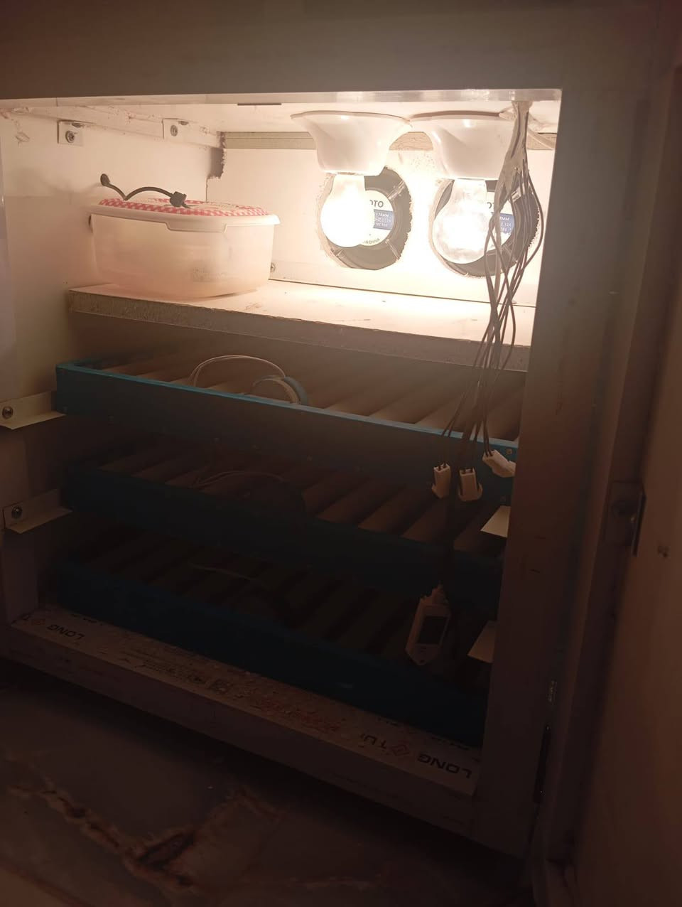 فقاسه المنيوم فول اوتوماتيك فول مواصفات نظام وجبات متحكمZL  دبل كارت الرطوبه فواحه وبيها حافظه ماء خارجيه حجم كبير تخلي بيها ماي تكفيك سبوع بيها  قلابات دحرجه عدد ٣ تأخذ كل انواع البيض بسعه ٢١٦ بيضه دجاج والفقاسه معايره بجهاز سويسري ونسبه انشاء الله حلوه فقاسه مستخدمه وجبتين تقريبا يعني بعدها جديده وبيها ماده عازله تتحمل انقطاع الكهرباء صارت عليه ب٤٠٠ اريدها ب٣٠٠ قفل 

وياها سلات مال تفقيس كبار عدد ٢
الشراي يتفضل ويدلل


**إذا كنت صاحب هذا الإعلان وتريد حذفه لأي سبب، رجاءا أرسل رسالة إلى الدعم الفني**