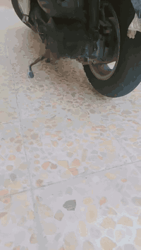 سلام عليكم درجه البيع نضيفه 
السعر 300وبهة مجال عنون نجف 
حي الميلاد ***********
