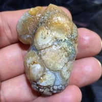 🐉 حجرة زوعة الحية الاصلي قطعة خامة ممجروخة خشنة وقديمة حيل وهاي صورها ...