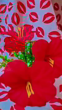 فرشه • سرير • مفروشات