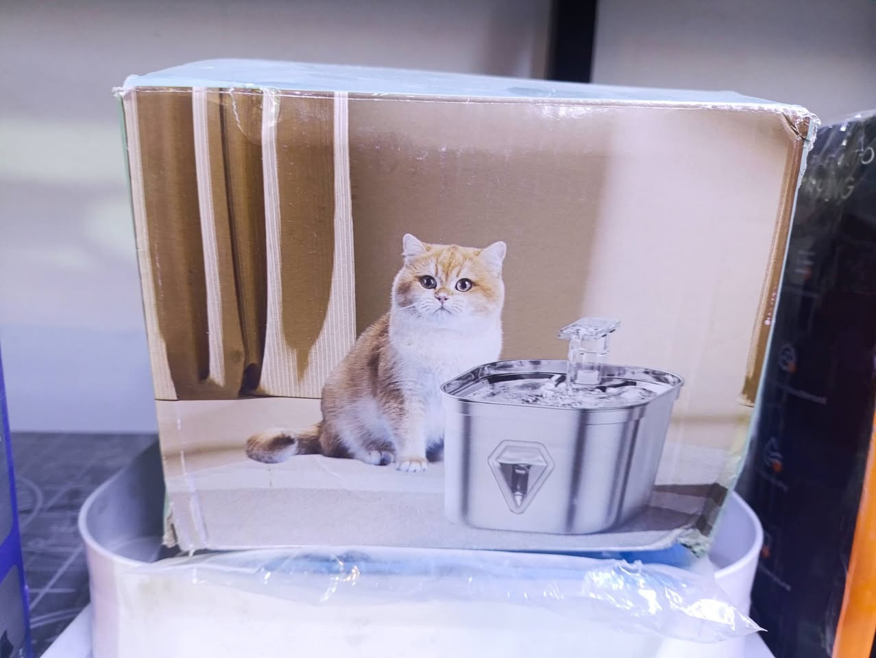 السلام عليكم شباب اشياء تخص القطط والكلاب


**إذا كنت صاحب هذا الإعلان وتريد حذفه لأي سبب، رجاءا أرسل رسالة إلى الدعم الفني**