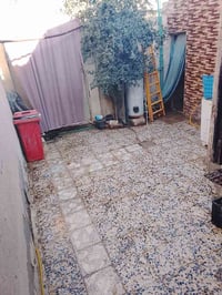 حي ميسان • ١٢٠م • زراعي