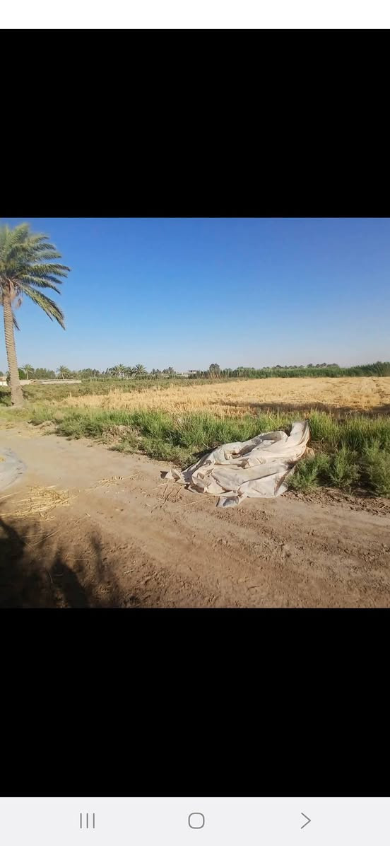 سلام عليكم ارظ زراعيه 7 دونم معه بيت معه حقل حلال تبعد عن السوق كلوين ركن عله شارع قضاء جبله حي الفرات فرع المصلخ رقم الهاتف ***********
