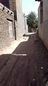 طابو زراعي • سند 25 • ١٠٠م