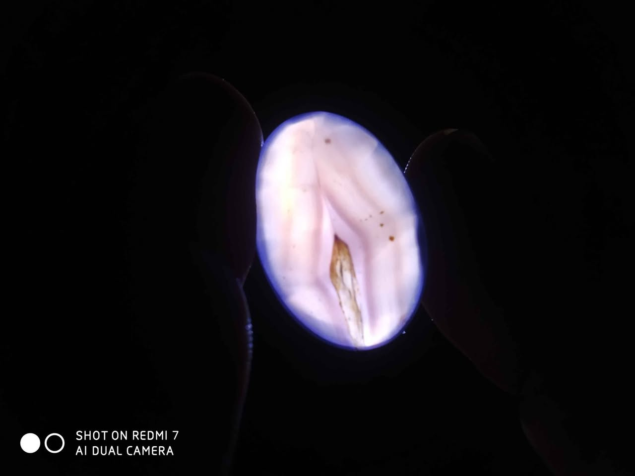 ناصرية مركز ناصرية, ذي قار


**إذا كنت صاحب هذا الإعلان وتريد حذفه لأي سبب، رجاءا أرسل رسالة إلى الدعم الفني**