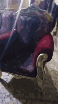 سلام عليكم ورحمه تخم ضخم رئاسي زان مصري سبع مقاعد مع تلبيسات وكوشات عدد 3 ملاحضه التخم كلش ضخم اربع كراسي مع كرويته جبيره قفله بيع مستعجل ب75قفل اي ظرر مابي مكاني السكلات شارع لشبكه ***********
