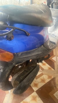 دراجة بيجي • سلف ما يشتغل • عصافير