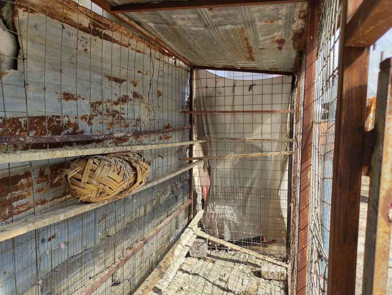 قفص مرتب مال دجاج مال حمام كلشي عمارة, ميسان


**إذا كنت صاحب هذا الإعلان وتريد حذفه لأي سبب، رجاءا أرسل رسالة إلى الدعم الفني**