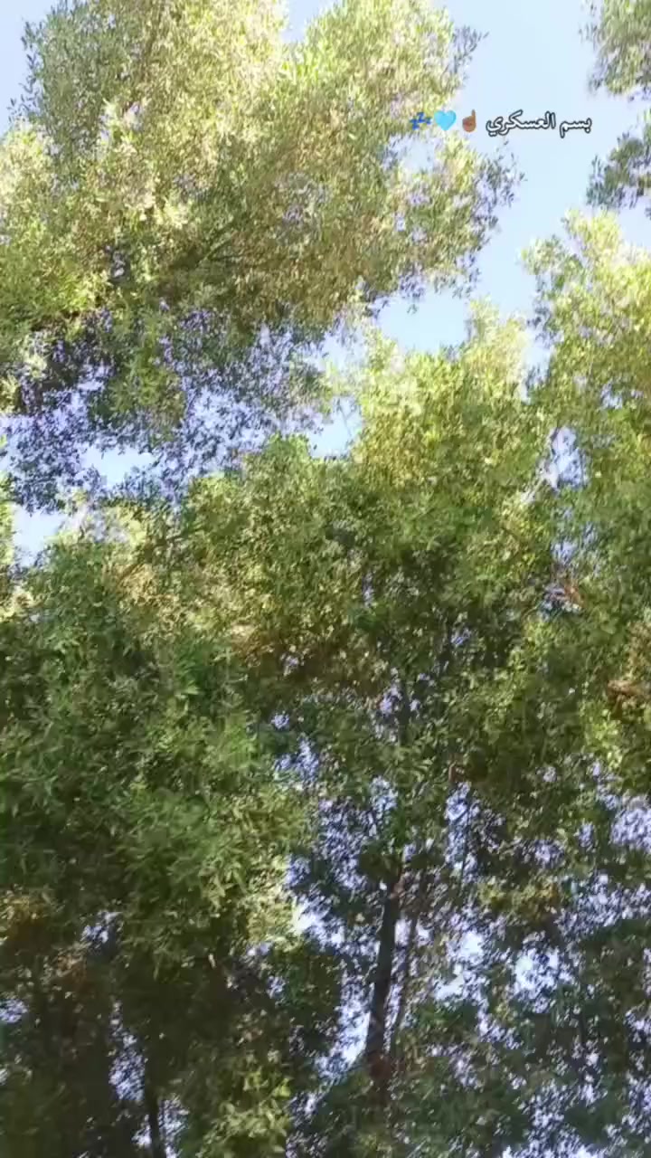 هلو شباب 😅👋
باسكل للبيع مفول
وبسعر مناسب 👋😄

اذ مو شراي لاطب خاص✋

(سعر) 130🇧🇭🔍
باسكل نازل من كرار😅👋

مديل 22
مكاني نجف لاشرف
حي المكرمه☝️👇


**إذا كنت صاحب هذا الإعلان وتريد حذفه لأي سبب، رجاءا أرسل رسالة إلى الدعم الفني**