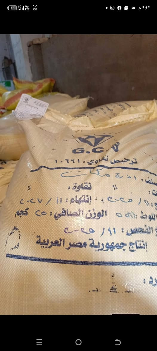 متوفر بذور  (الراي جراس) الافريقي
مواصفات النبات

1-تنمو بسرعة كبيرة 

2_ تزرع في اي وقت في السنة عدا شهور الصقيع الباردة

3_ معمرة بالارض وتبقى لعدة سنوات اذا كانت الخدمة جيدة

4 _ النبتة الواحدة تكون فروع عشبية كثيفة بالقاعدة

5 _يعطي حشات كثيرة تصل الى ثلاث حشات بالشهر صيفا اذا كانت الخدمة التسميدية جيدة و حشتين بالشهر  اذا كانت التسميد ضعيف 

6_ يعطي النبات ارتفاعات عالية تصل من ١٢٠  سم  الى مترين وحسب خدمة الارض

7_ يتحمل ارتفاع درجات الحرارة العالية ويتوقف بالصقيع البارد جدا شهر ١٢ وشهر ١  حيث تجف وتتيبس اوراقه من الاعلى وتبقى القاعدة خضراء لذى يفضل اذا مرت فترة صقيع قص النبات حتى لا يتأثر بالبرد ويضاف اليه اسمدة دافئه مثل الكبريت الزراعي والدمن الحيواني المتحلل والهيومك اسيد العضوي ويعاود النمو بالشهر  ٢  بغزارة 

8_ زراعته جدا سهلة يشبه زراعة الحنطة والشعير

9_ يعطي بذور كثيرة ما بين شهر ٣ الى الشهر ٩ وتعتبر فترة طويلة تستطيع ان تستخرج منه عدة حشات من البذور

10_ يثبت الاوزوت بالتربة اي الناتروجين من الهواء الى التربة لذلك  يحتاج الى اسمدة نايتروجينية قليلة ويحب الاسمدة العضوية الحيوانية

11_ يزرع بالارض وماء البئر متوسط الملوحة فهو يساعد على تخليص التربة من الاملاح

12_ يزرع بالاراضي الفقيرة والطينية الثقيلة فهو يساعد على تفتيتها وجعلها سهلة النفاثية بسبب المجموع الجذري الكثيف والذي يتمدد بالتربة طولا وعرضا وتعتبر هذا الجذور بعد قتل النبات لزراعة الارض مرة اخرى سماد بتموس بعد ان يتحلل بالتربة ليحول الارض الطينية الى خفيفية بمرور الزمن

14_ غني جدا بالبروتين 

15_ تحب اكله جميع الحيوانات من ابقار ماعز اغنام وابل وغيرها وياكله الدجاج والبط بشراهة بعد ثرمه وهذه عن تجربة ويزيد انتاج البيض لانه غني بالبروتين

16_ واخيرا وهي من افضل صفاته انه يهاجم على جميع الحشائش الضارة بالمزرعة ويقضي عليها بالكامل ليقلل على الفلاح جهود ومصاريف مكافحة الحشائش والادغال 
مميزاته
........... 
. تزداد كثافة النبات بعد كل حشة وتزداد ارتفاعانه وكثافته بعد كل سنة عكس باقي النباتات النجيلية 

سعر الكيلو (  ٦٥٠٠ ) 

يوجد حجز توصيل الى بغداد وجميع المحافظات 

هاتف ***********
