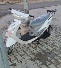 للبيع ماكس منغولي 725وبيه مجال مامفوحه 07807922346