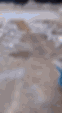 مواد بناء • البصرة • أسعار مناسبة