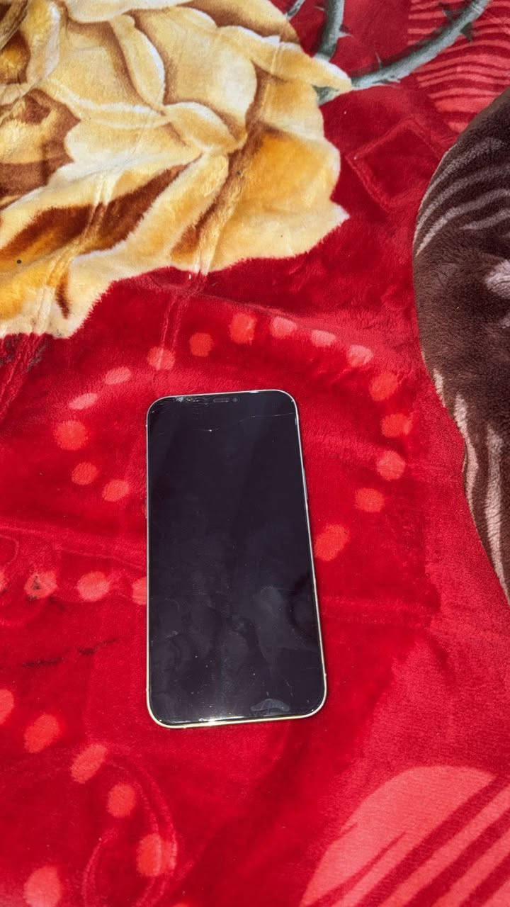 ايفوانات واحد 13 واحد 12 البطاريات 84 و80 واحد ب 600 واحد 400 مكاني ناصريه مركز مداخلات تصليح ابد


**إذا كنت صاحب هذا الإعلان وتريد حذفه لأي سبب، رجاءا أرسل رسالة إلى الدعم الفني**