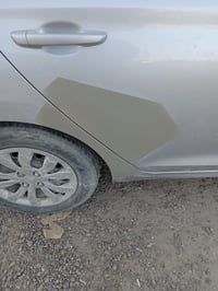 اكسنت ٢٠٢٠ • ١٦٠٠ • حادث حيوان