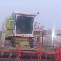 كلاس • واسط • ام عميمه