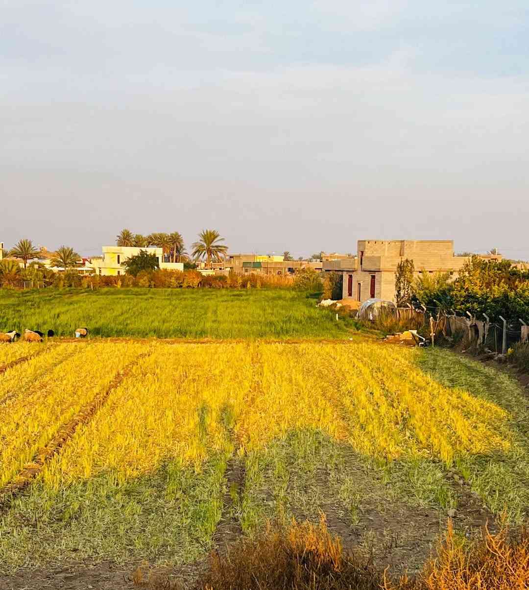 فرصة ما تتعوّض – قطعة أرض للبيع
إذا دا تدور على مكان مضمون للاستثمار أو للبناء والسكن،
هاي الأرض موقعها ممتاز وقريبة من كل الخدمات 

🔹 المساحة: (دونم)
🔹 الموقع: (جزيرة الخالدية-منطقة البوشهاب)
✔️ موقع حيوي
✔️ مناسبة للبناء أو الاستثمار
✔️ سعر مناسب وقابل للتفاوض

للاستفسار الجاد فقط تواصل خاص أو اتصال
على الرقم •(***********)
•(***********)
آدمن من فضلك وافق
