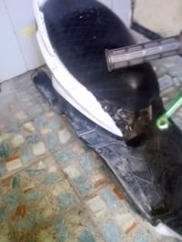 دراجه سكنس للبيع شراء يخابرني كايم كوم حديد رقمي للتواصل 07700076629 ب...