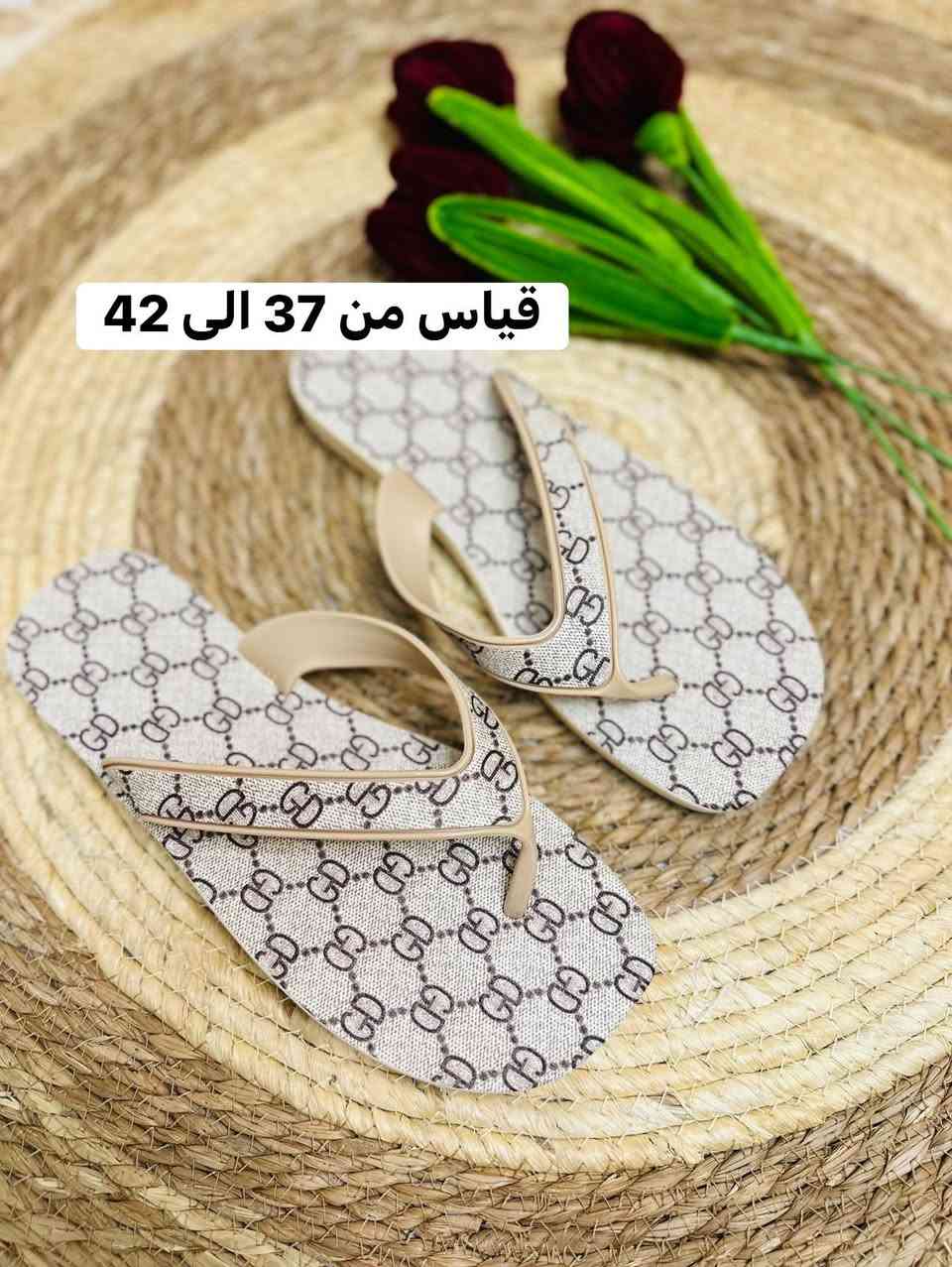 سلبرات 
ولادي + نسائي + رجالي 🫰🏻

قياسات داخل الصوره


**إذا كنت صاحب هذا الإعلان وتريد حذفه لأي سبب، رجاءا أرسل رسالة إلى الدعم الفني**