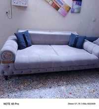 تخم قنفات للبيع المكان الغزاليه   07719425020