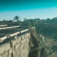 قطع أرض • طريق حله نجف • كافة الخدمات